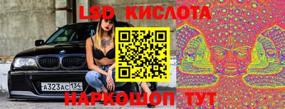 крисы Камень-на-Оби