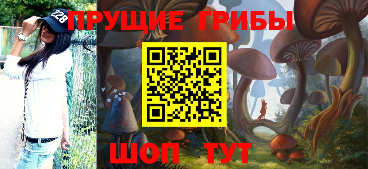 Псилоцибиновые грибы Magic Shrooms  Псилоцибиновые грибы Psilocybine cubensis  Вход с VPN  Махачкала 